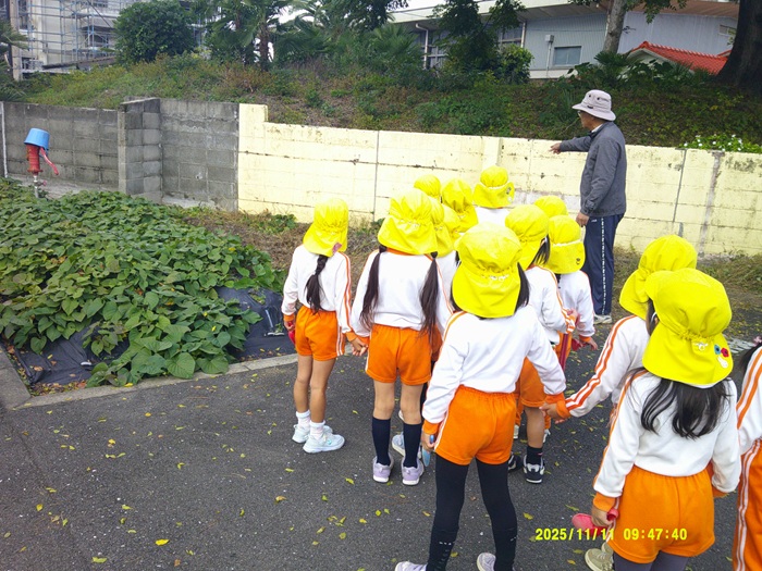 あのあたりに芋があるはず…と場所を示す園長